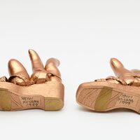 Bronze Shoes