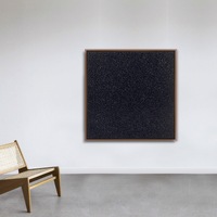 Infinity Nets (SENN)
