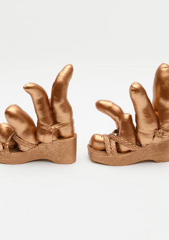 Bronze Shoes