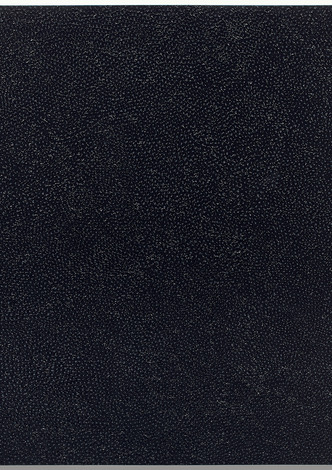 Infinity Nets (SENN)