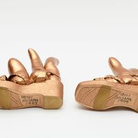 Bronze Shoes