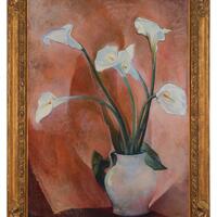Calla-Lilien
