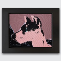 Cats and Dogs (Cecil)