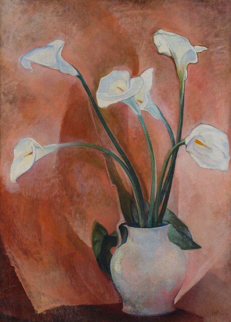 Calla-Lilien